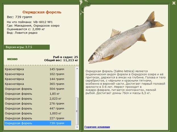 Охридское озеро 