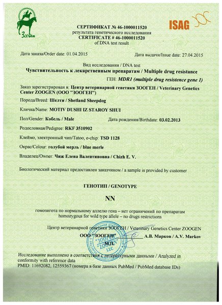 Изображение