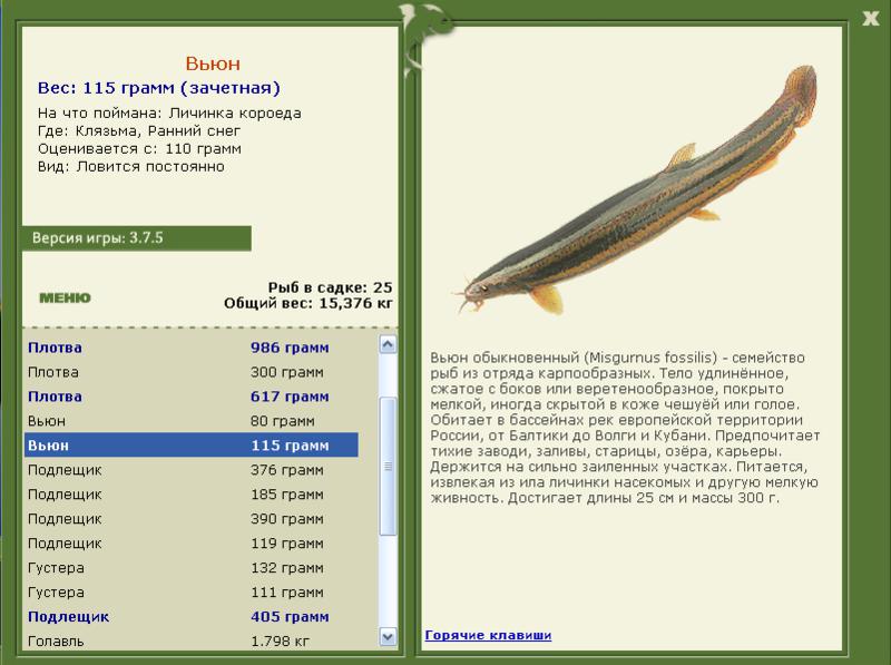 Клязьма 