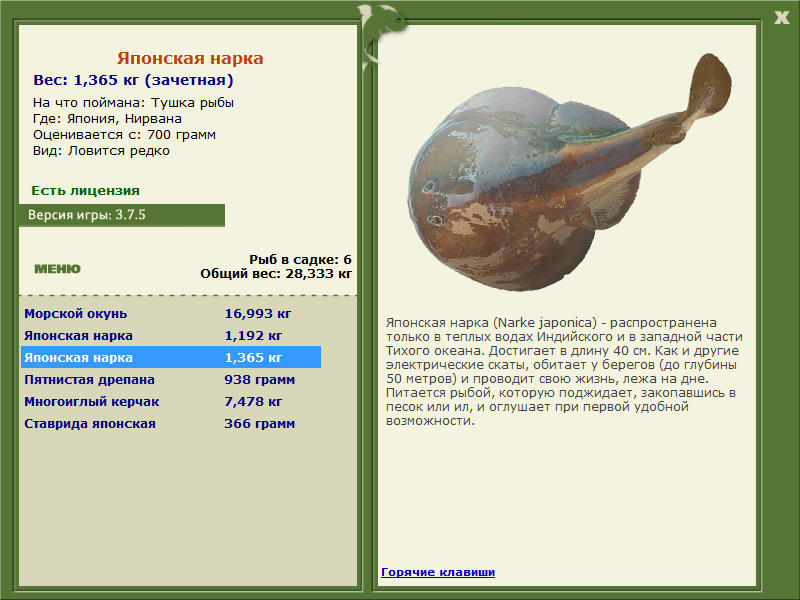 Нирвана 