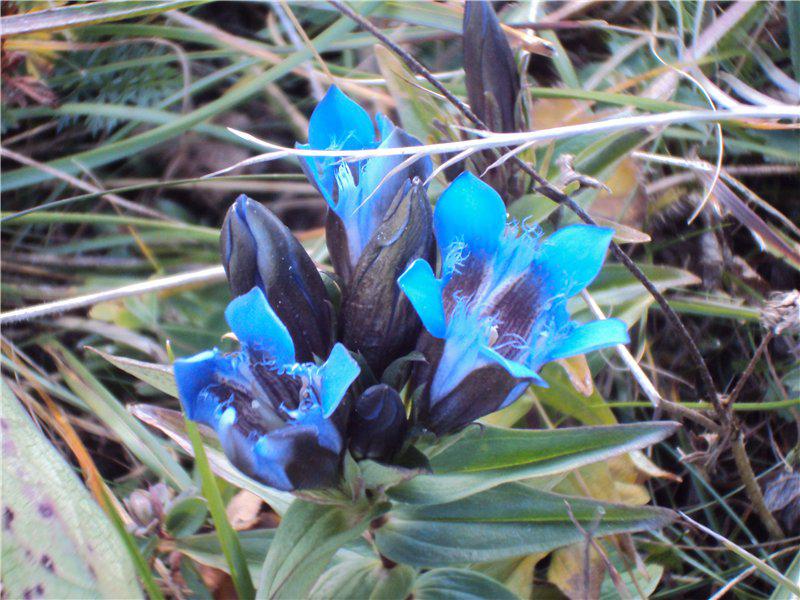 Наши путешествия и наши родные и любимые места 