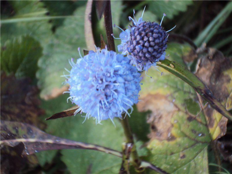 Наши путешествия и наши родные и любимые места 