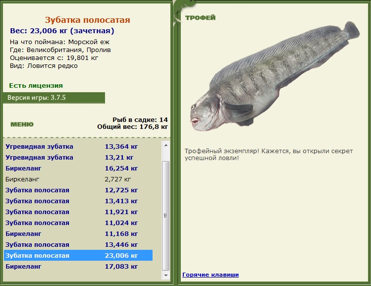 РУССКАЯ РЫБАЛКА Installsoft Edition 