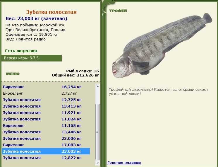 РУССКАЯ РЫБАЛКА Installsoft Edition 
