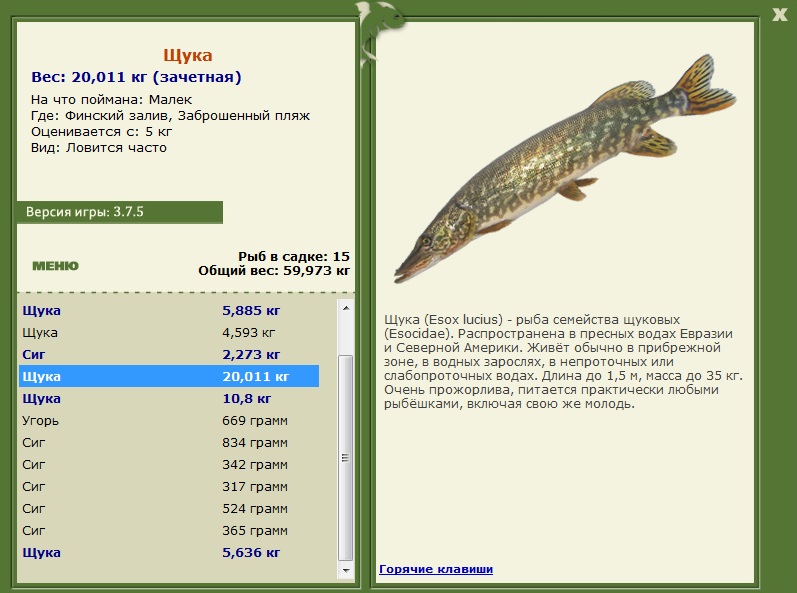 Заброшенный пляж 