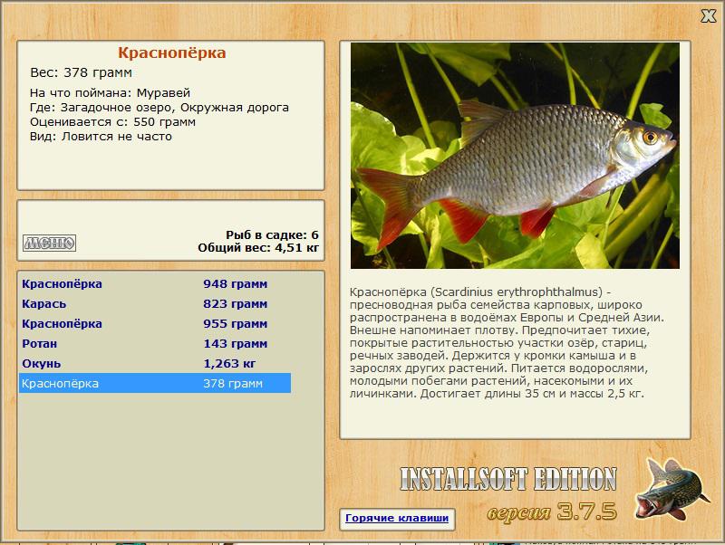 Окружная дорога 