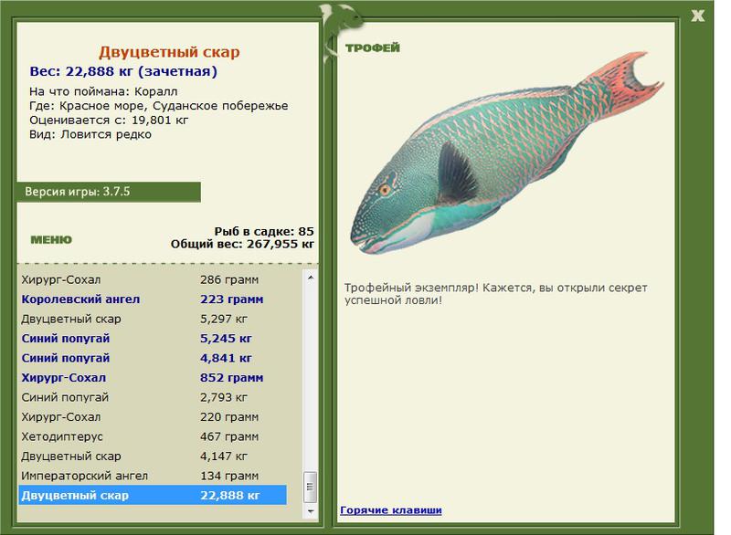 РУССКАЯ РЫБАЛКА Installsoft Edition 