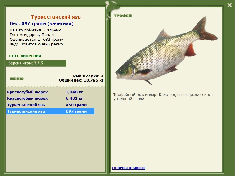 Туркестанский язь 