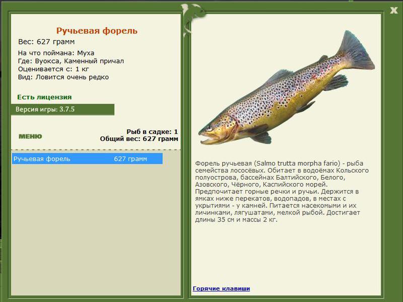 РУССКАЯ РЫБАЛКА Installsoft Edition 