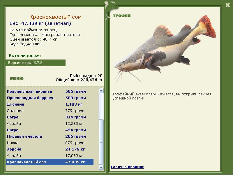 РУССКАЯ РЫБАЛКА Installsoft Edition 