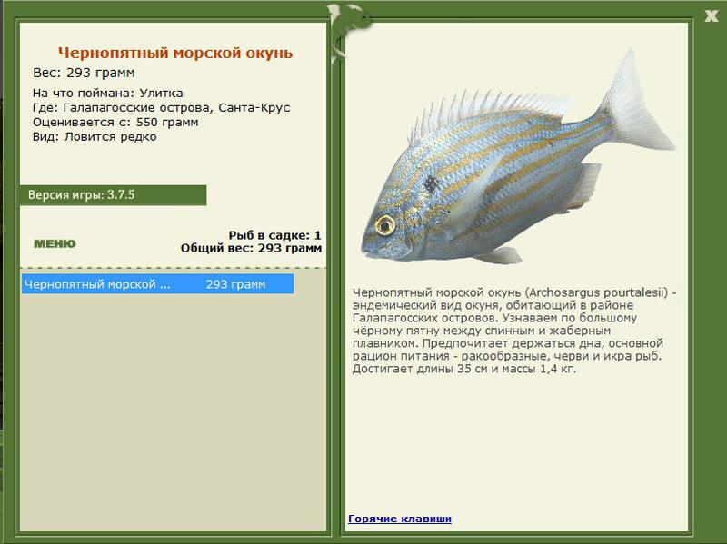 РУССКАЯ РЫБАЛКА Installsoft Edition 