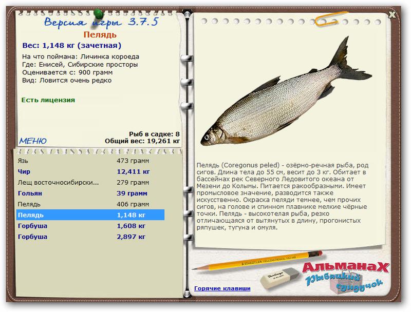 Енисей 