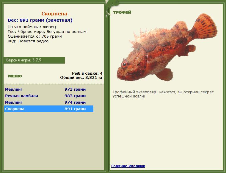 Живец 