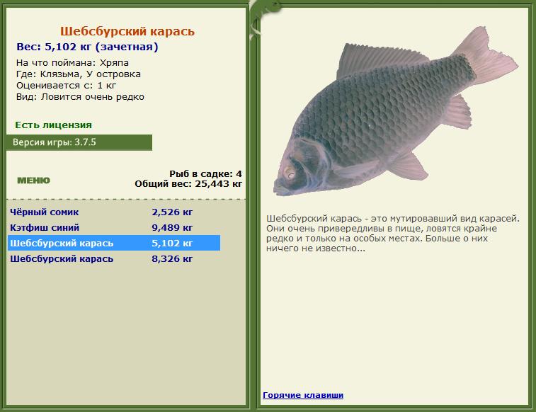 Шебсбурский карась 