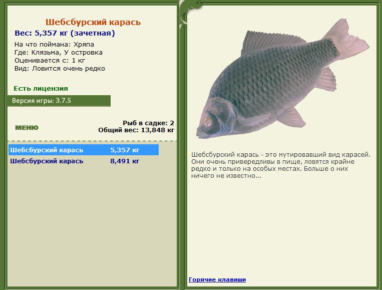 Шебсбурский карась 