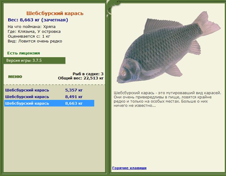 Шебсбурский карась 