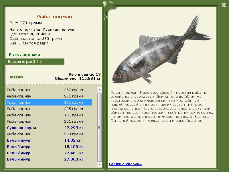Римини 