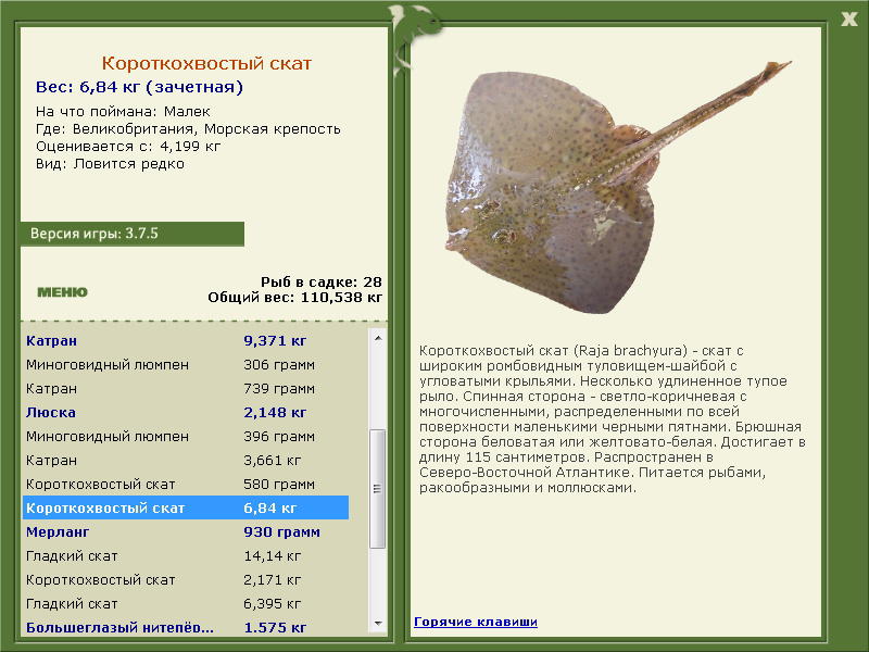 Морская крепость 