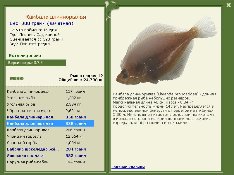 Сад камней 