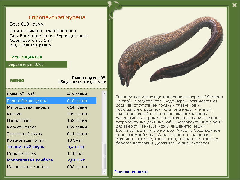 Бурлящее море 