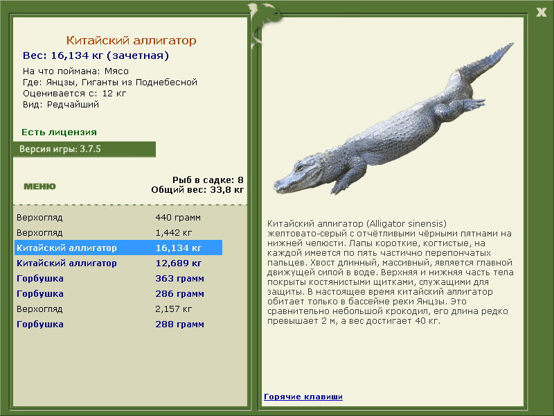 Гиганты из Поднебесной 
