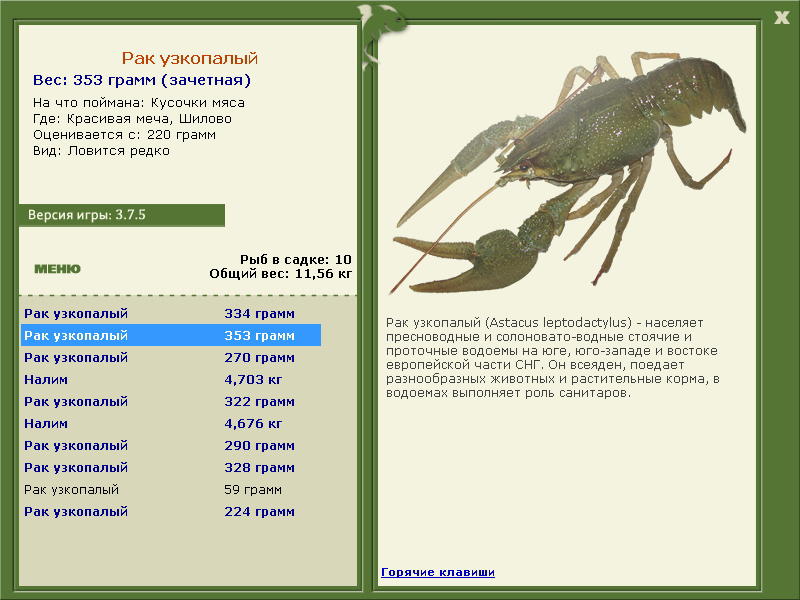 Шилово 