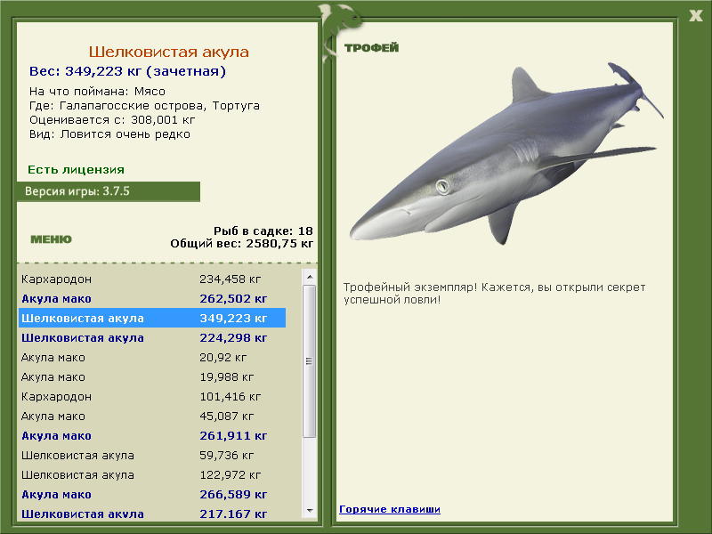 Тортуга 
