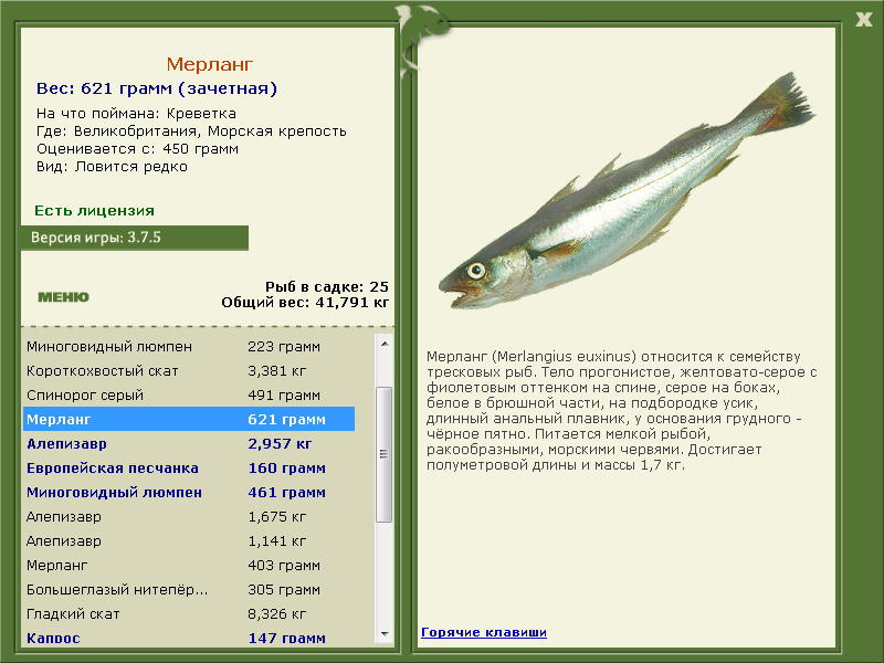 Великобритания 