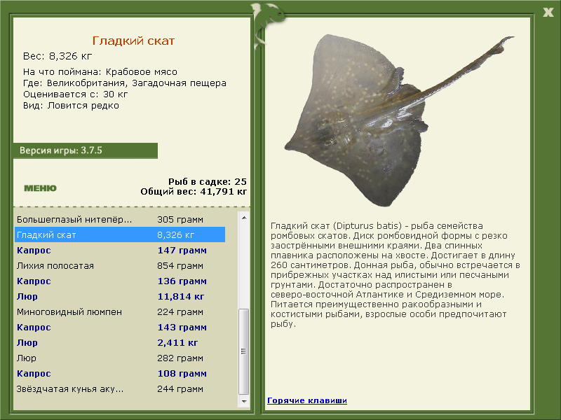 Великобритания 