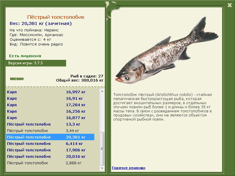 Миссисипи 