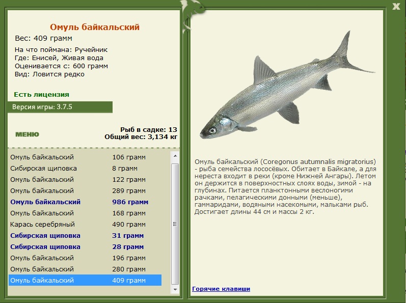 Живая вода 