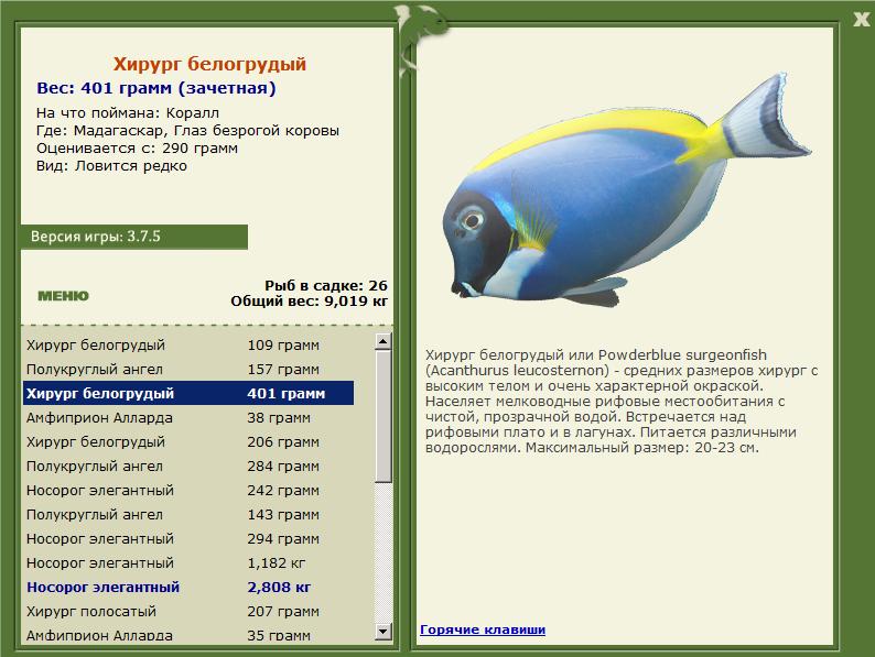 Глаз безрогой коровы 