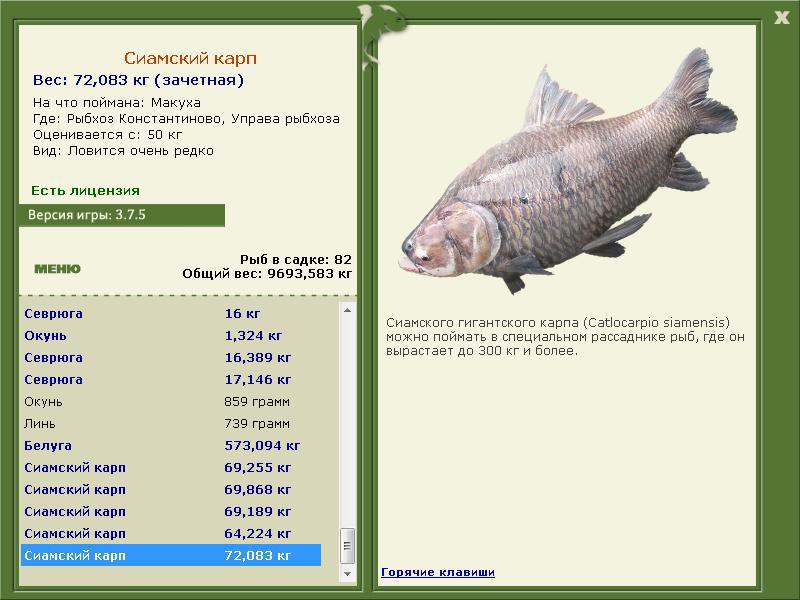РУССКАЯ РЫБАЛКА Installsoft Edition 