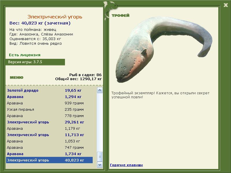 Электрический угорь 