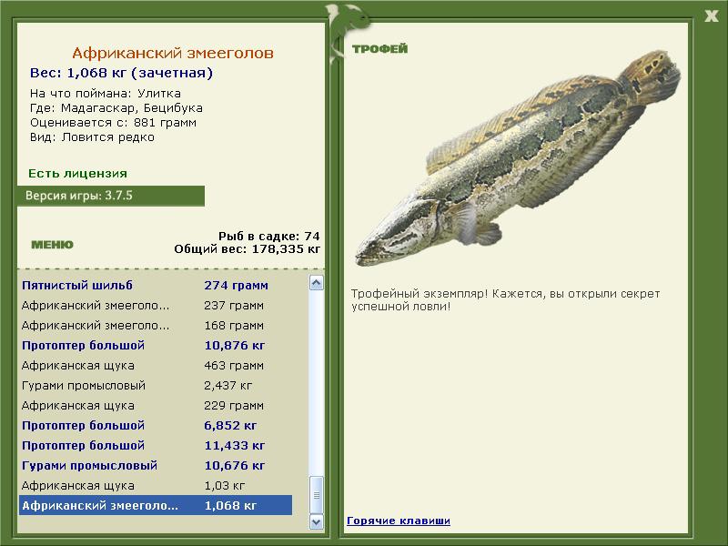 Африканский змееголов 