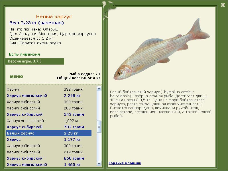 Царство хариусов 