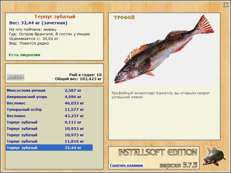 В гостях у мишек 