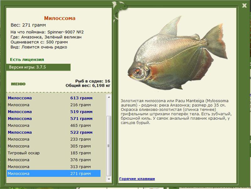 РУССКАЯ РЫБАЛКА Installsoft Edition 