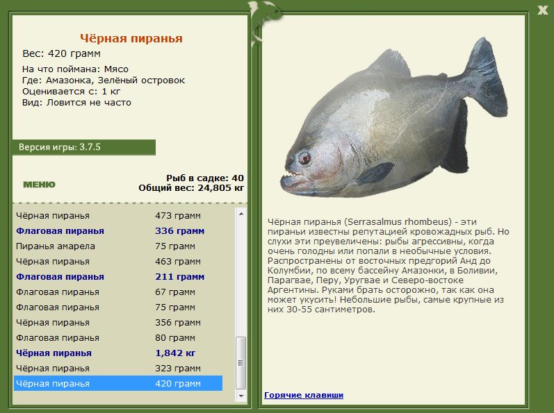 Зелёный островок 