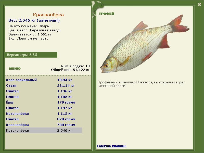 турниры • РУССКАЯ РЫБАЛКА