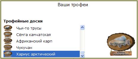 Верховья 