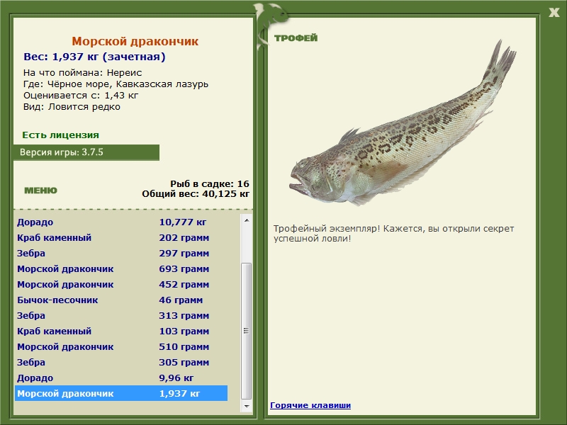 Морской дракончик 