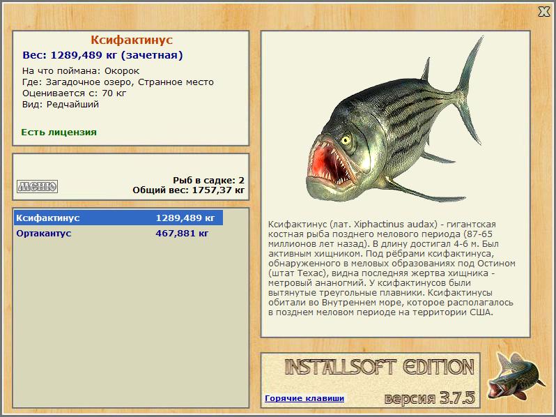 Ксифактинус 