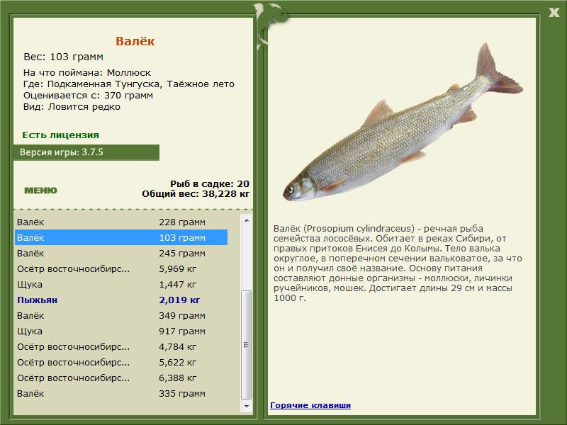турниры • РУССКАЯ РЫБАЛКА