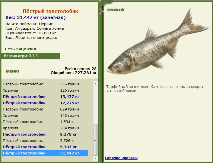 турниры • РУССКАЯ РЫБАЛКА