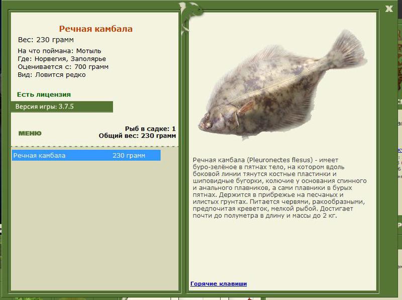 РУССКАЯ РЫБАЛКА Installsoft Edition 