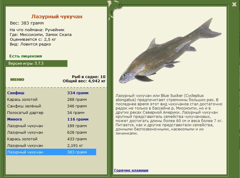 Замок Скала 