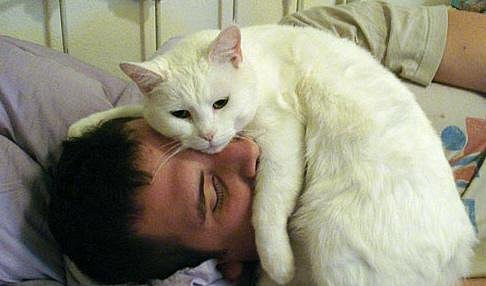 Клуб алкоголиков 