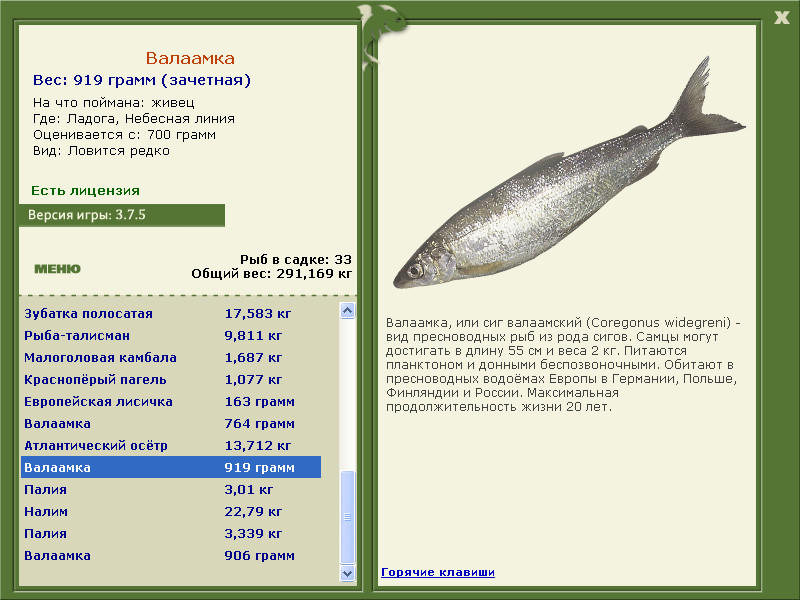 РУССКАЯ РЫБАЛКА Installsoft Edition 