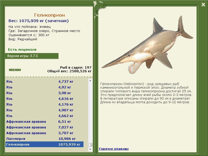 Геликоприон 